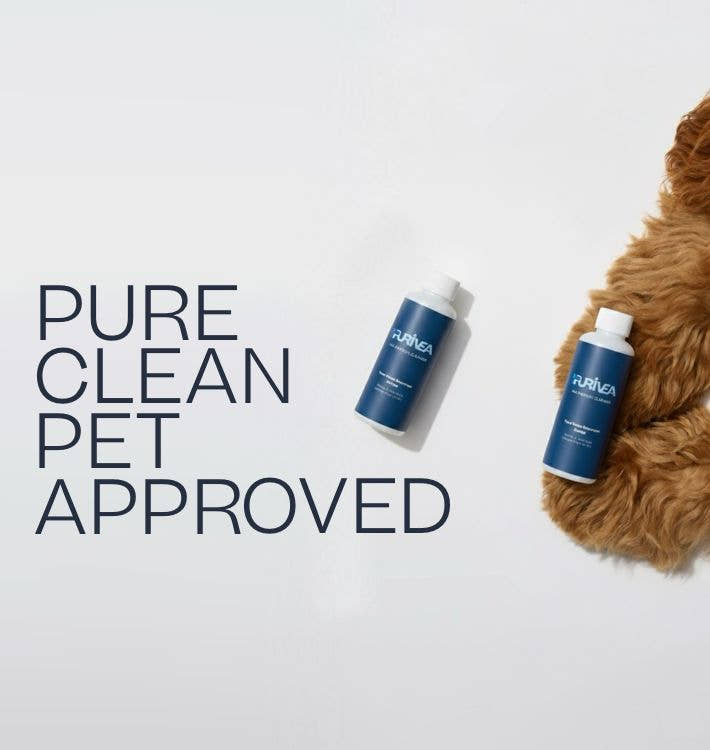 Purivea Clean